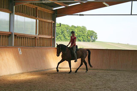 Image Not Found On Media Library