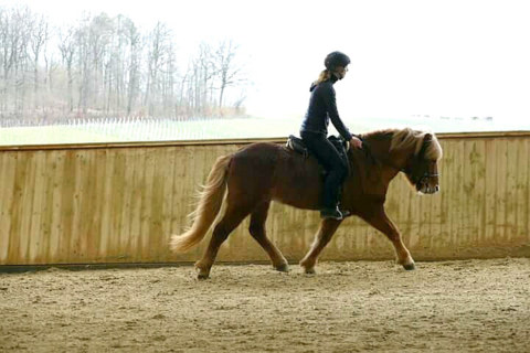 Image Not Found On Media Library