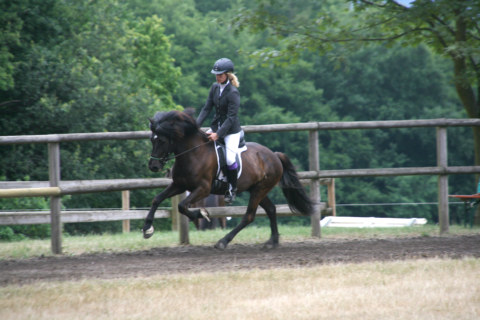 Image Not Found On Media Library