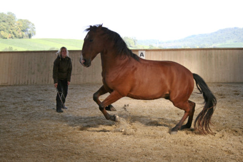 Image Not Found On Media Library