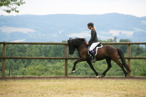 Image Not Found On Media Library