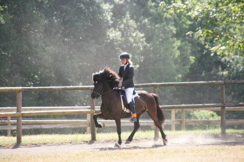 Image Not Found On Media Library