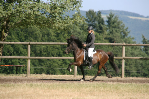 Image Not Found On Media Library