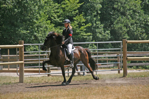 Image Not Found On Media Library