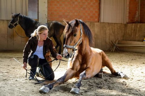 Image Not Found On Media Library