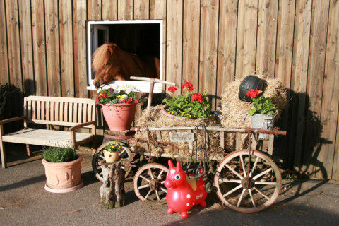 Image Not Found On Media Library