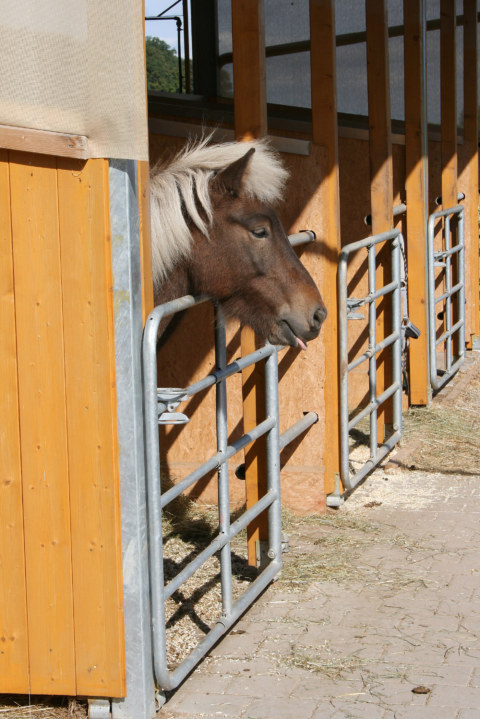 Image Not Found On Media Library