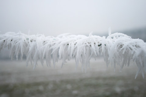 Image Not Found On Media Library