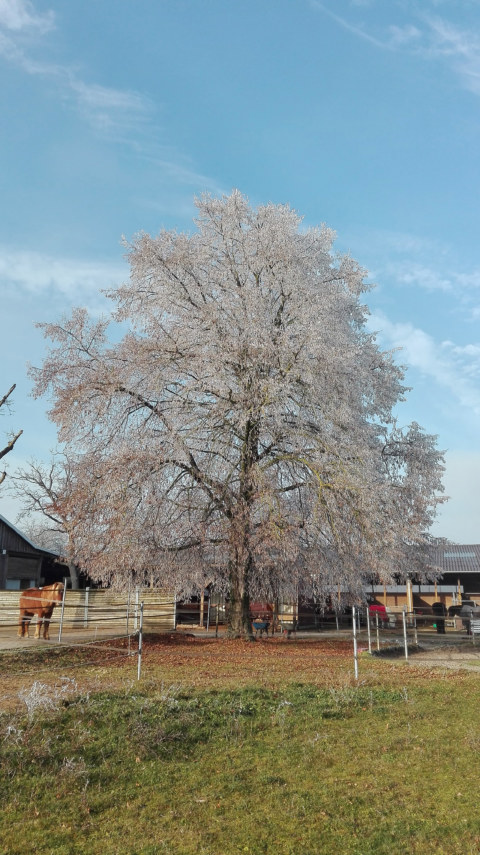 Image Not Found On Media Library