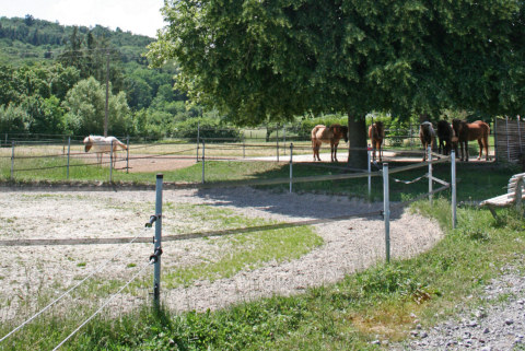 Image Not Found On Media Library