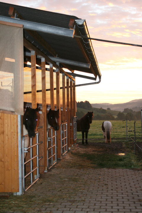 Image Not Found On Media Library