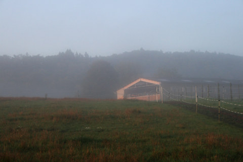 Image Not Found On Media Library