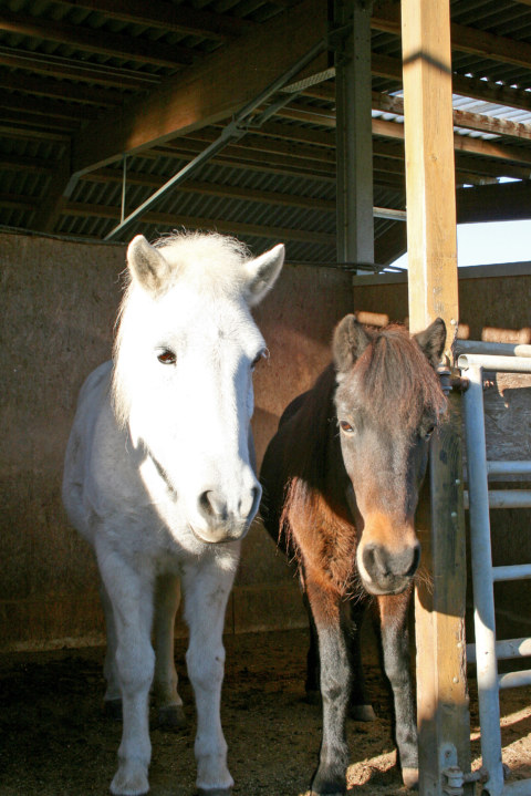 Image Not Found On Media Library