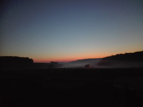 Image Not Found On Media Library