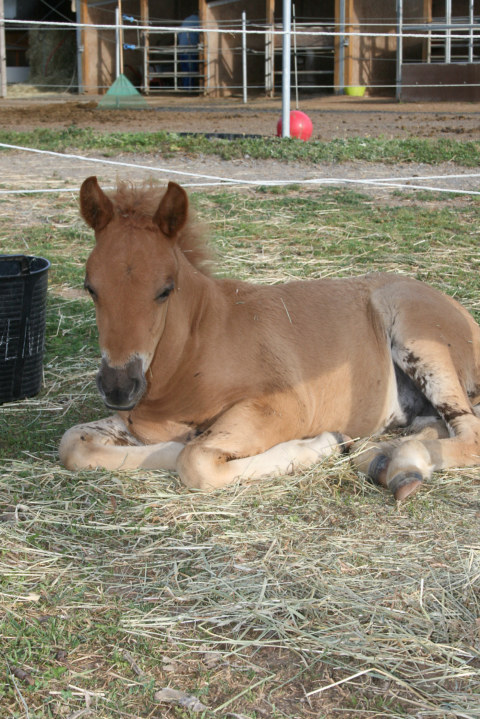 Image Not Found On Media Library