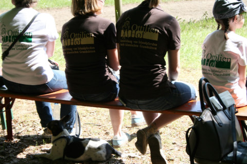 Image Not Found On Media Library