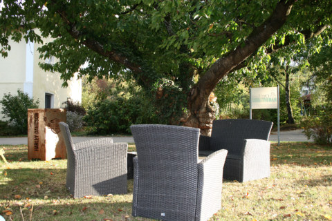 Image Not Found On Media Library