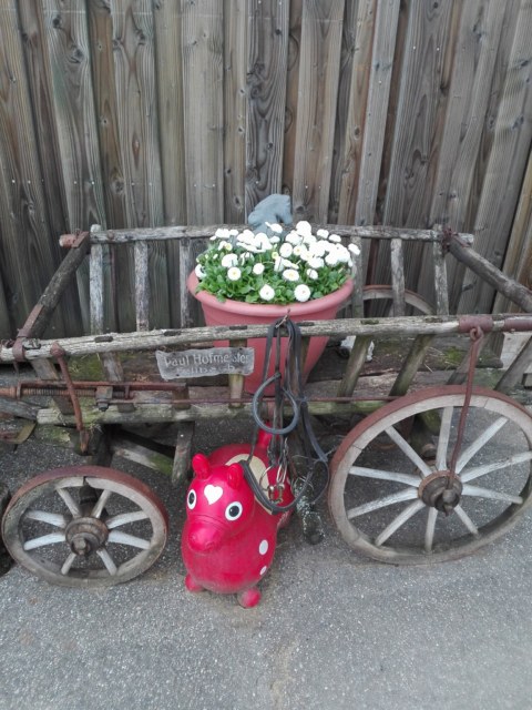 Image Not Found On Media Library