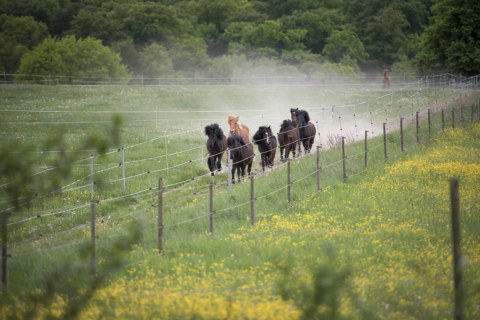 Image Not Found On Media Library