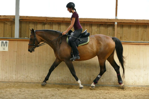 Image Not Found On Media Library