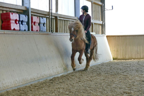 Image Not Found On Media Library