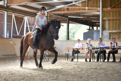 Image Not Found On Media Library