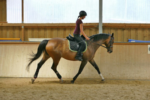 Image Not Found On Media Library