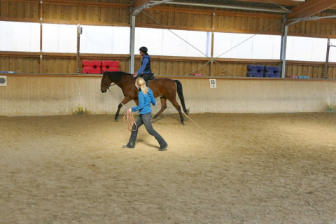 Image Not Found On Media Library