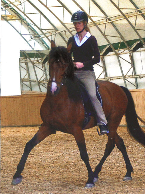 Image Not Found On Media Library