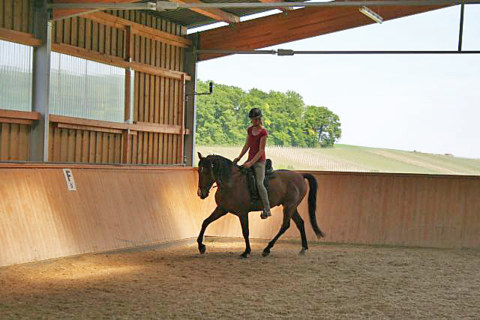 Image Not Found On Media Library