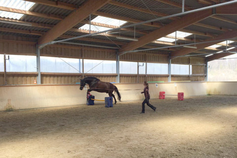 Image Not Found On Media Library