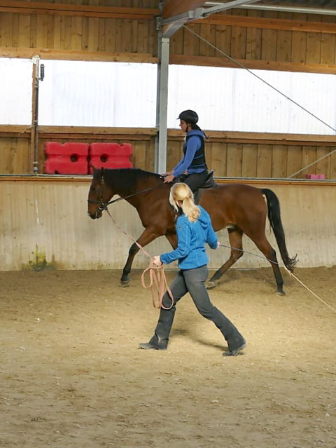 Image Not Found On Media Library