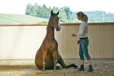 Image Not Found On Media Library