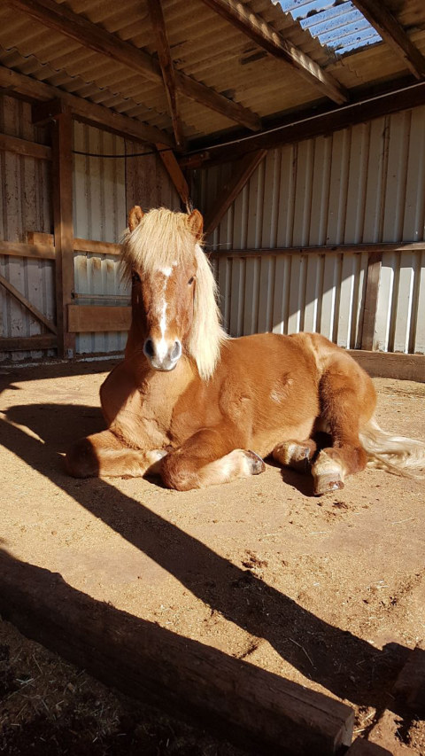 Image Not Found On Media Library