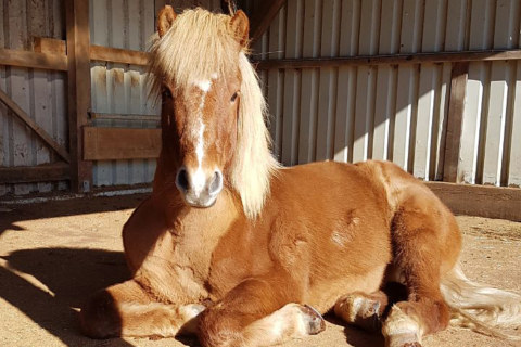 Image Not Found On Media Library